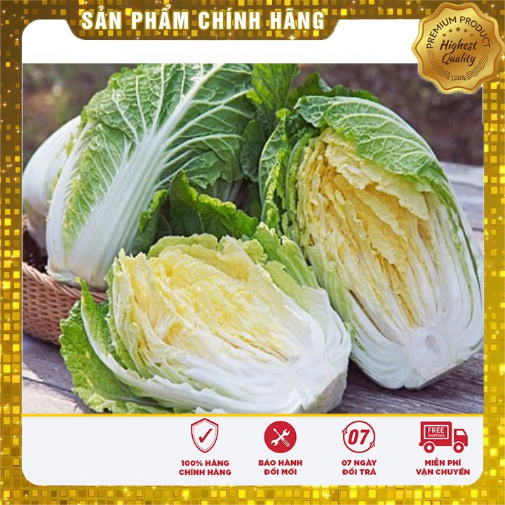 Hạt giống Rau Cải thảo Ngon ( 1 gam)