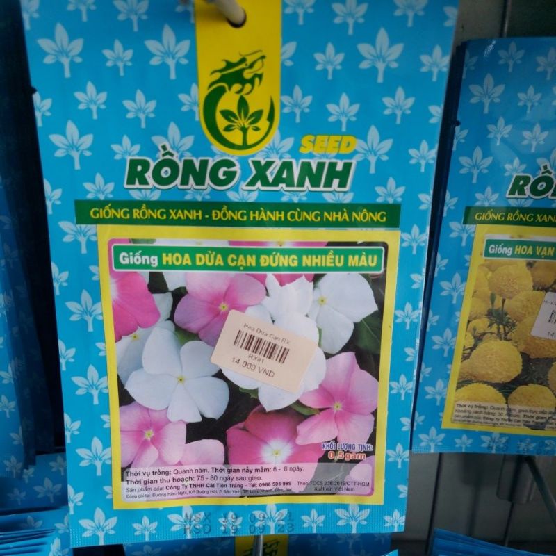 Hoa Dừa Cạn RX