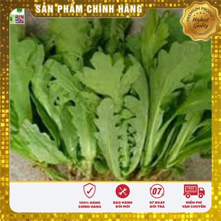 Hạt giống Cải Cúc 20gram [Bán Sỉ]
