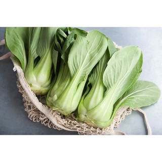 Hạt giống rau Cải chip ngọt - Rau củ quả trồng tại vườn, sân thượng, nông trang, ban công