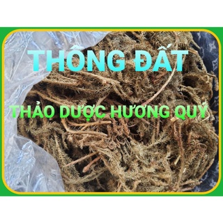 1 Kg Cây Thông Đất Khô, Sạch, Thơm