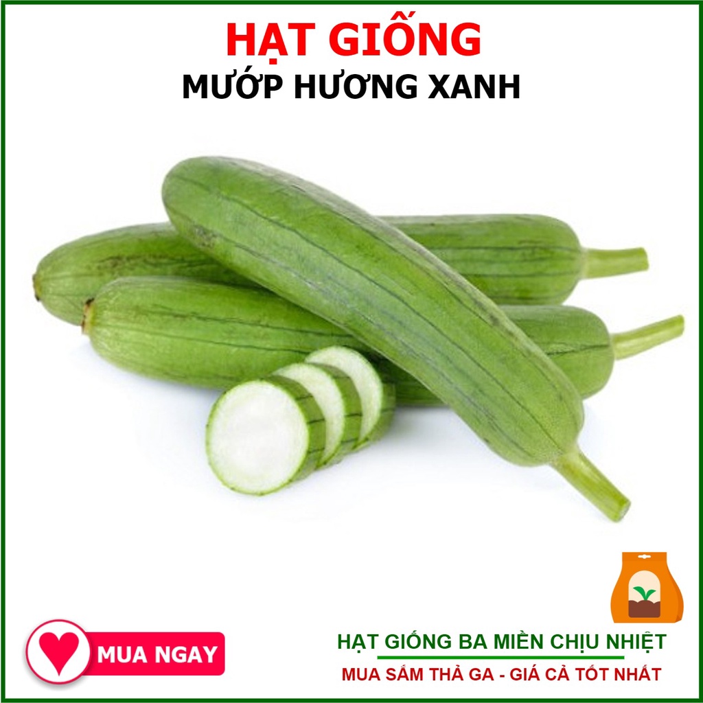 1G -  Hạt Giống Mướp Hương, Mướp Khía