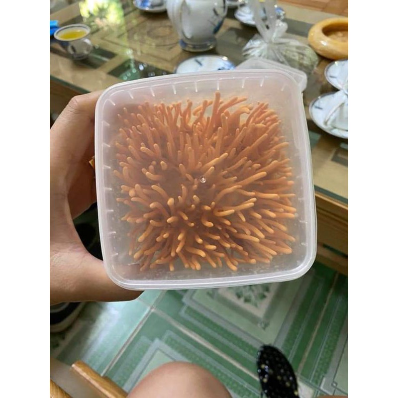 Đông trùng hạ thảo sinh khối tươi | BigBuy360 - bigbuy360.vn