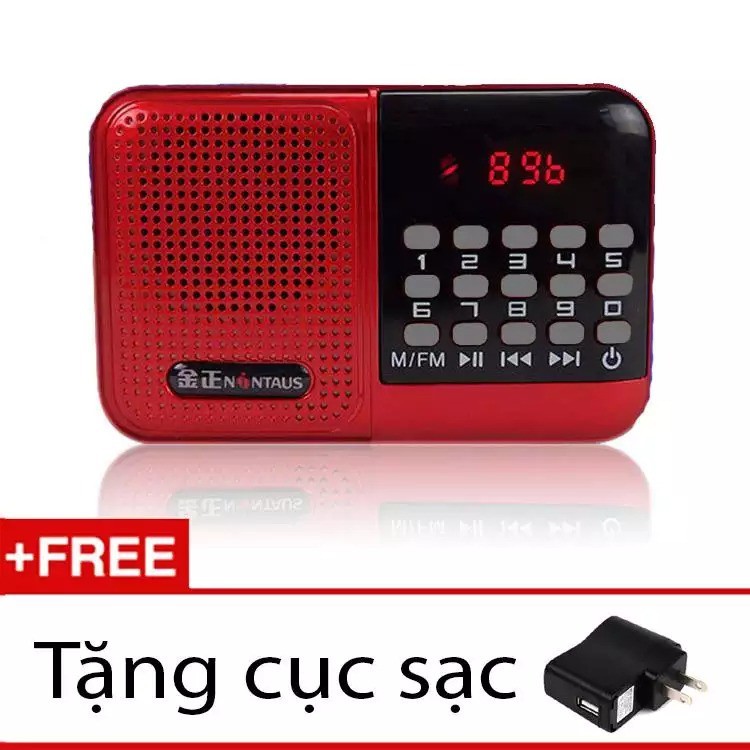 Máy nghe nhạc từ thẻ nhớ, FM, Kinh phật – S61