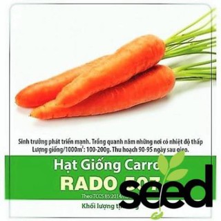 Hạt Giống Cà Rốt Dễ Trồng 5Gram