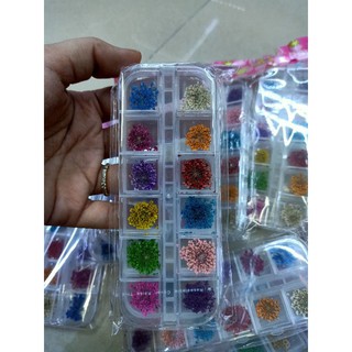 hoa khô chùm ẩn gel
