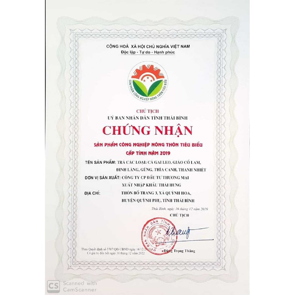 Trà Cà Gai Leo Thái Hưng (trà thảo mộc túi lọc - 100% tự nhiên - không chất bảo quản, dạng hộp cao cấp)