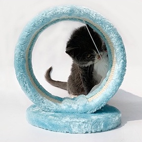 Trụ cào móng vòng, cây cào móng cho mèo con - cửa hàng minmonmon - ảnh sản phẩm 3