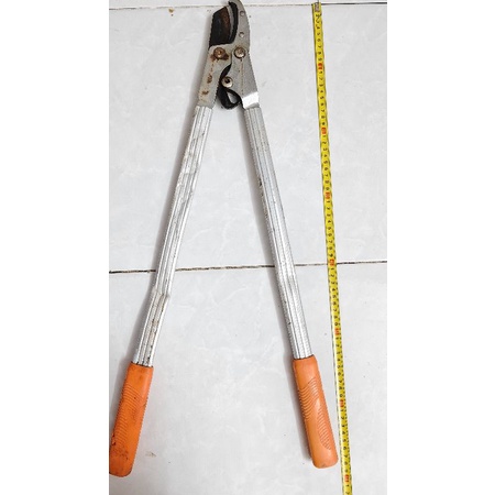 Kéo cắt cành, hàng rào nhật bãi