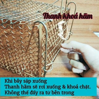 LỒNG BẪY CHUỘT