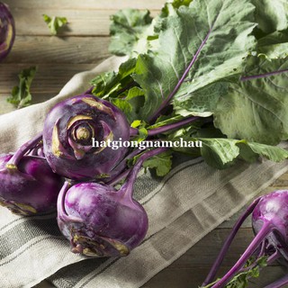 50 H  - HẠT GIỐNG SU HÀO TÍM KHÔNG SƠ CỦ TO