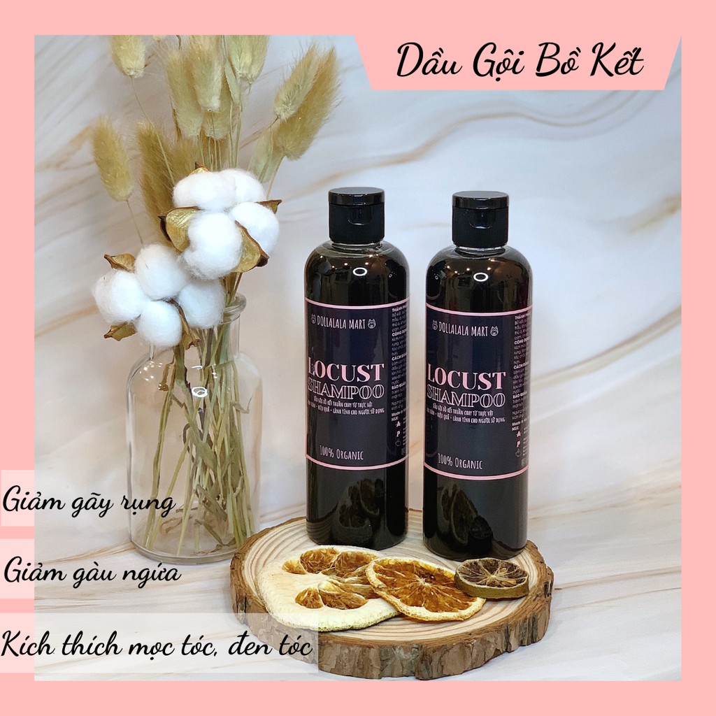 Dầu Gội Bồ Kết Thuần Chay Cô Đặc Giúp Giảm Gãy Rụng Và Kích Mọc Tóc - Dollalala Mart