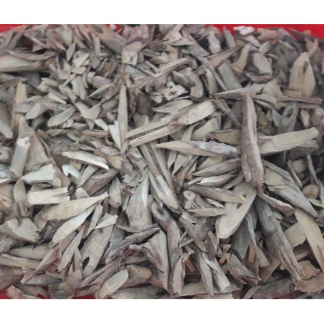 Cây đuốn chim lợi sữa