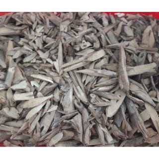 Cây đuốn chim lợi sữa