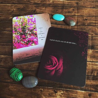 (Thổ House Tarot) Bài Morse Code Love Oracle