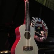 ĐÀN UKULELE CONCERT GỖ ĐỦ MÀU SẮC - HÀNG CÓ SẴN