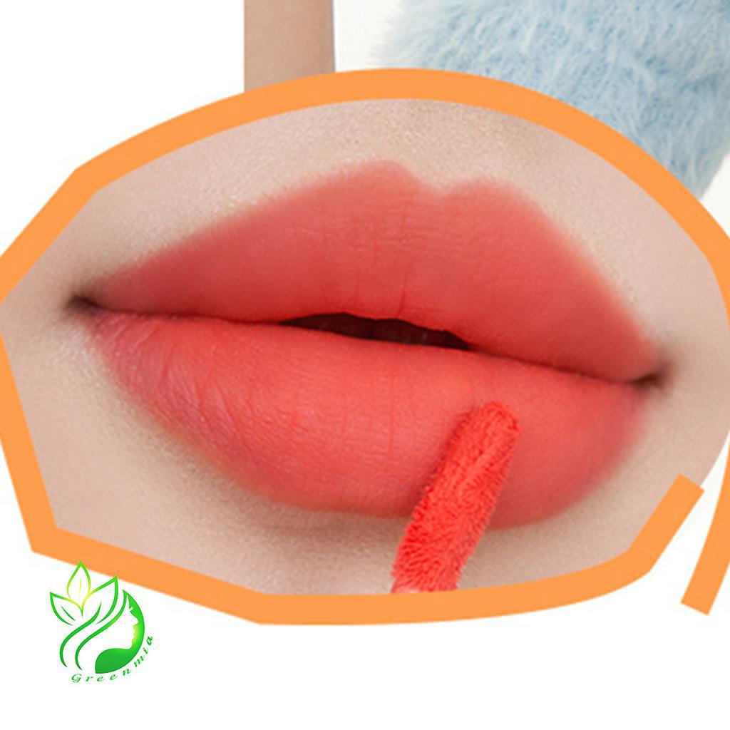 Son Romand Kem Lì Vỏ Vuông Blur Fudge Tint Màu 09 Coral Jubi 5g