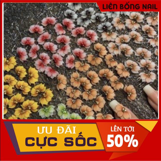 Hoa bột nail 5 cánh