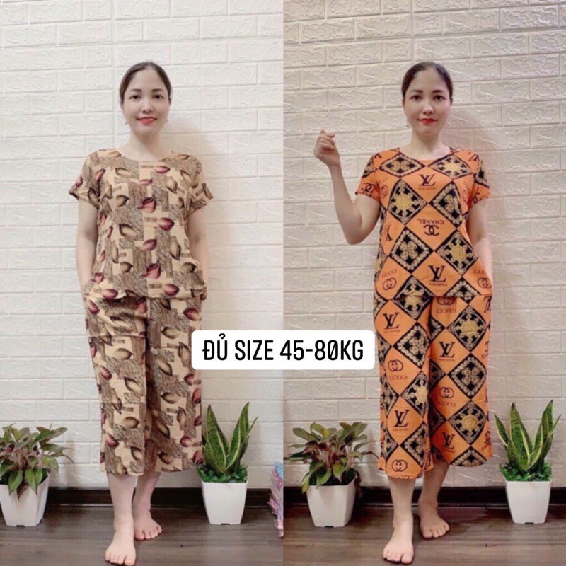 (Nhiều màu) Bộ lanh ống sớ ngắn tay