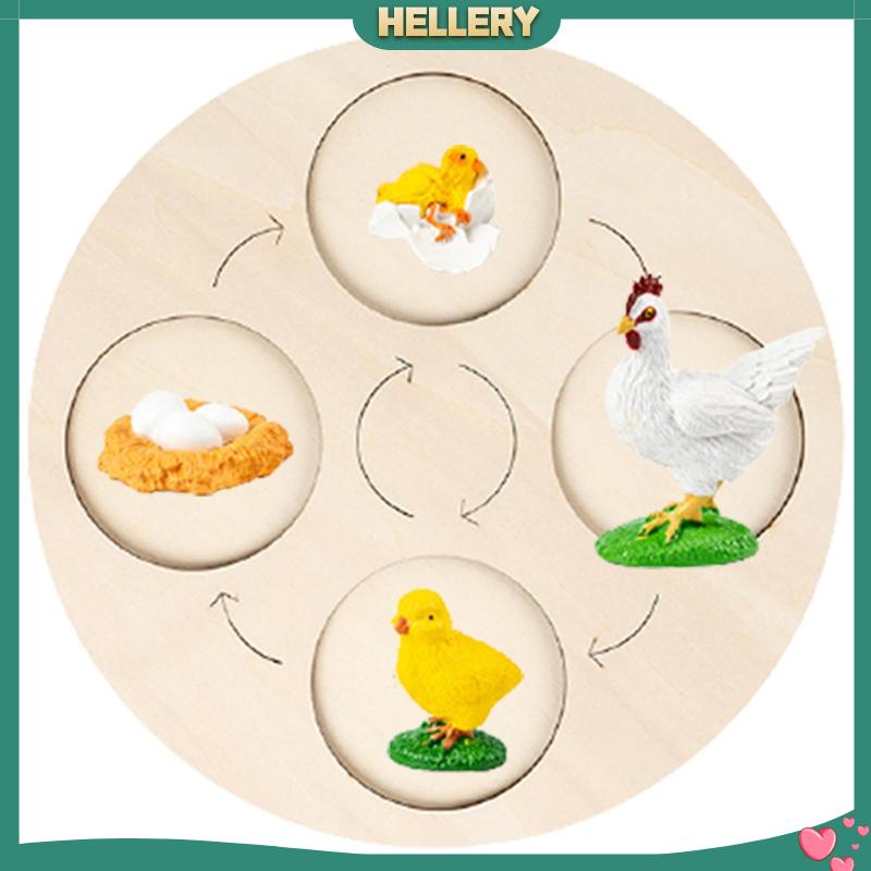 Bảng Mạch Tăng Trưởng Chu Kỳ Montessori Sớm Cho Bé [HelleryVN] #Educational Balo Đi Học Mẫu Giáo Dễ Thương Cho Bé