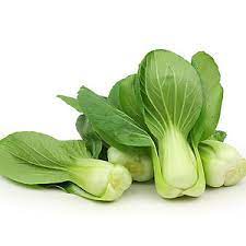 Hạt giống rau cải CHÍT cao sản - gói 50g