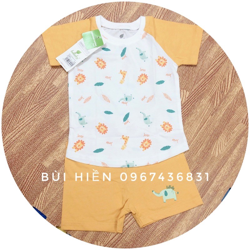 FLASH SALE BST mới nhất Lullaby 2021