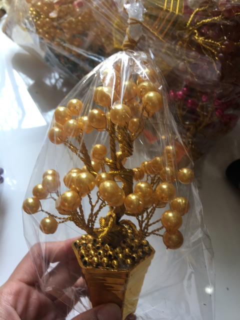 Chậu hoa để thân tài cao 18cm