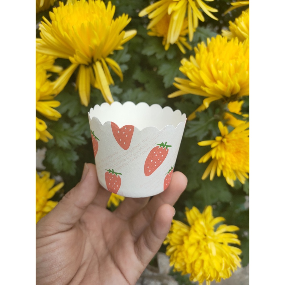 Ly giấy cupcake cứng JS