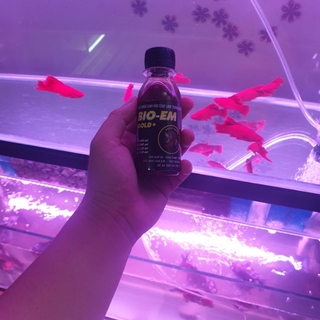 Vi sinh BIO EM PRO ( hàng như hình )