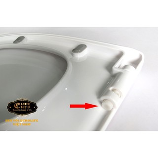 NẮP BỒN CẦU EUROLIFE EL-PS262