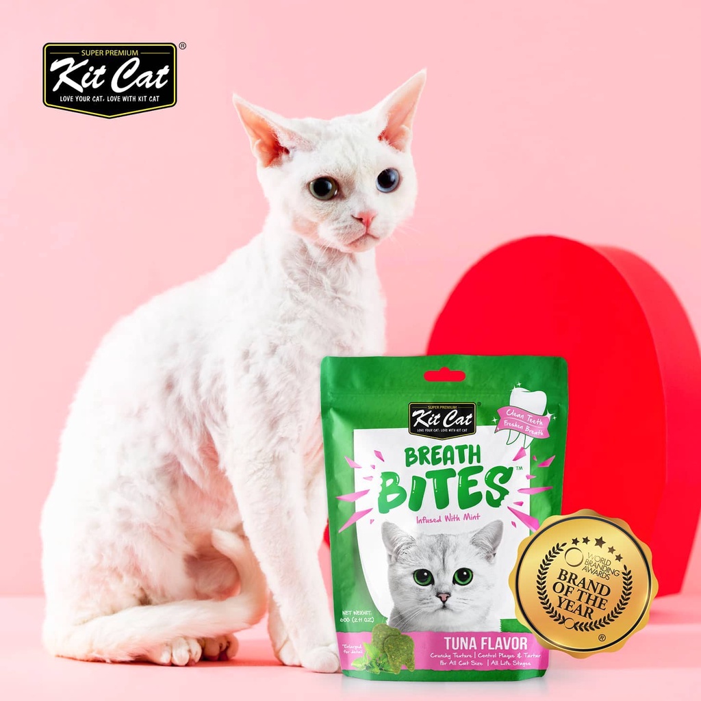 Bánh thưởng cho mèo Kit cat breath bite 60g, thức ăn snack kitcat vặt sạch răng thơm miệng Con Mèo Xiêm