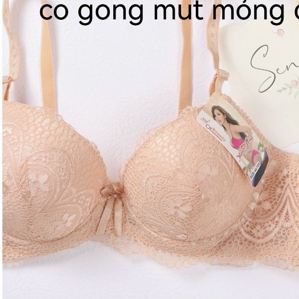 Áo Lót Thái Bigsize Cao Cấp Mút 1cm Mỏng Nhẹ, Vải Mịn, Áo Lót Loại form cup C