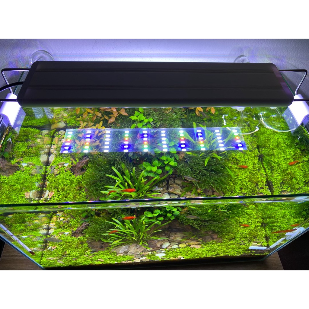 Đèn led siêu sáng bể thủy sinh 6 hàng bóng cho bể 70cm 80cm 90cm 100cm - đèn led bể cá giá tốt nhất