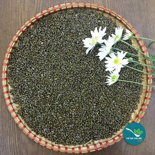 Thảo quyết minh 1kg - TM130