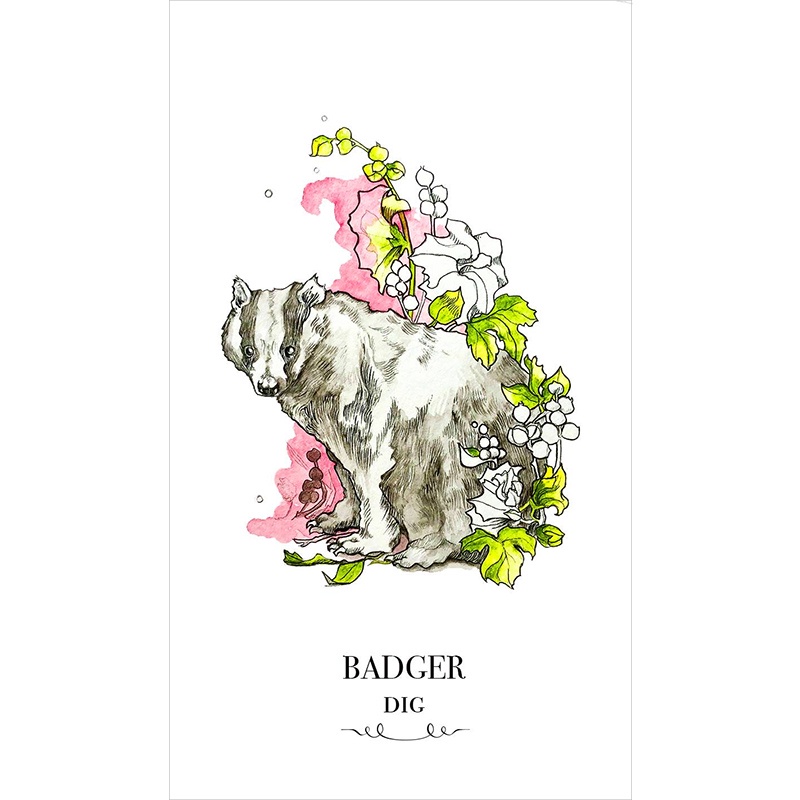 Bộ Bài Winterseer Animal Oracle (Mystic House Tarot) - Bài Gốc Authentic Chính Hãng 100%