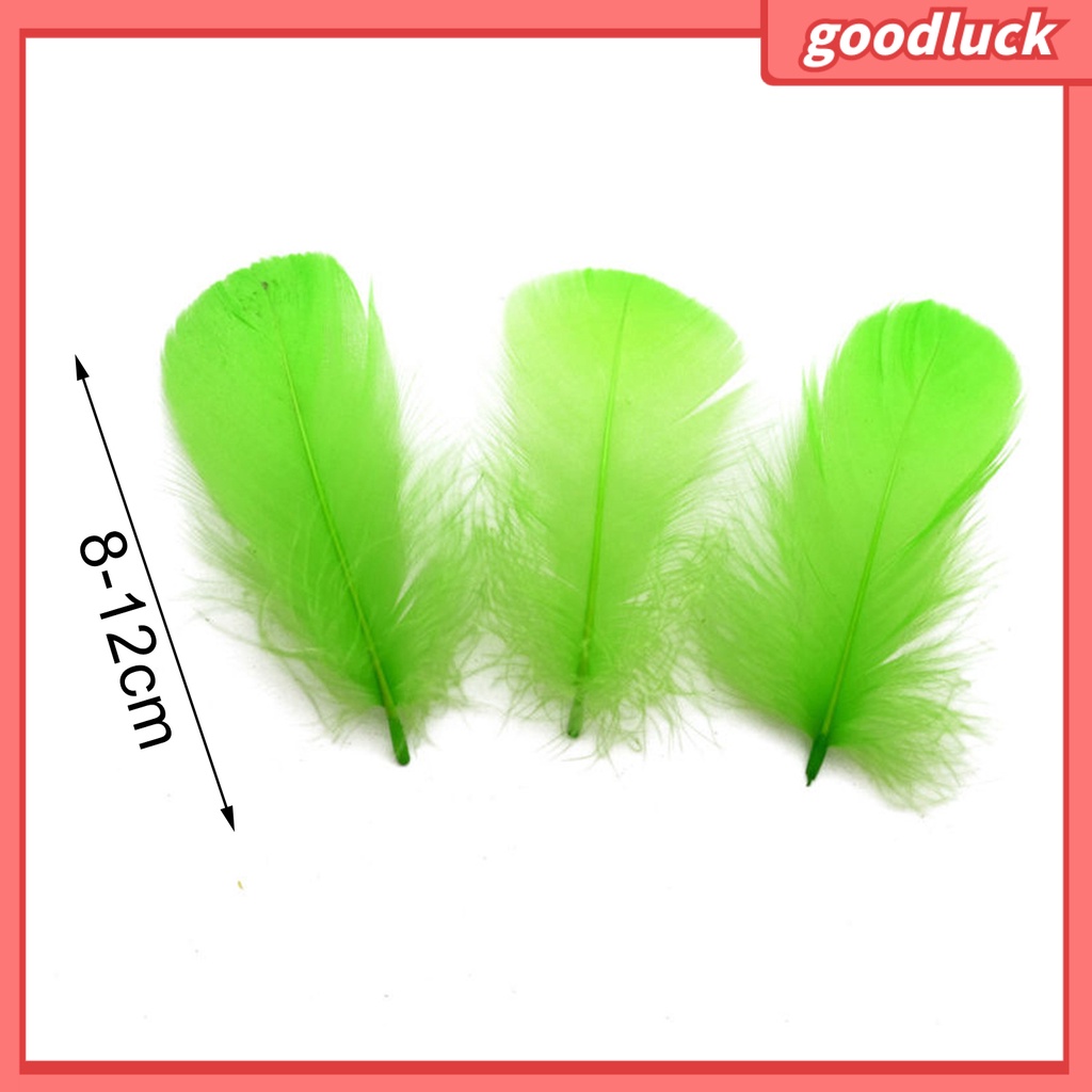 Bộ 100 Lông Vũ Nhiều Màu Sắc Dùng Trang Trí Thủ Công DIY