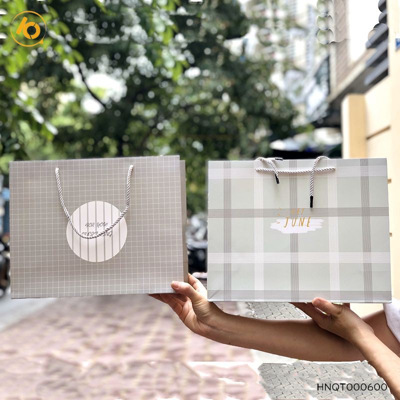 Túi quà giấy đẹp,Túi đựng quà có dây xách cầm tay dùng trong sự kiện ,ngày lễ - SP005186