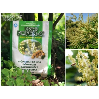 Fofer-X Siêu ra hoa nhãn_Phân bón lá NK kích thích nhãn ra hoa đồng loạt đậu trái nhiều