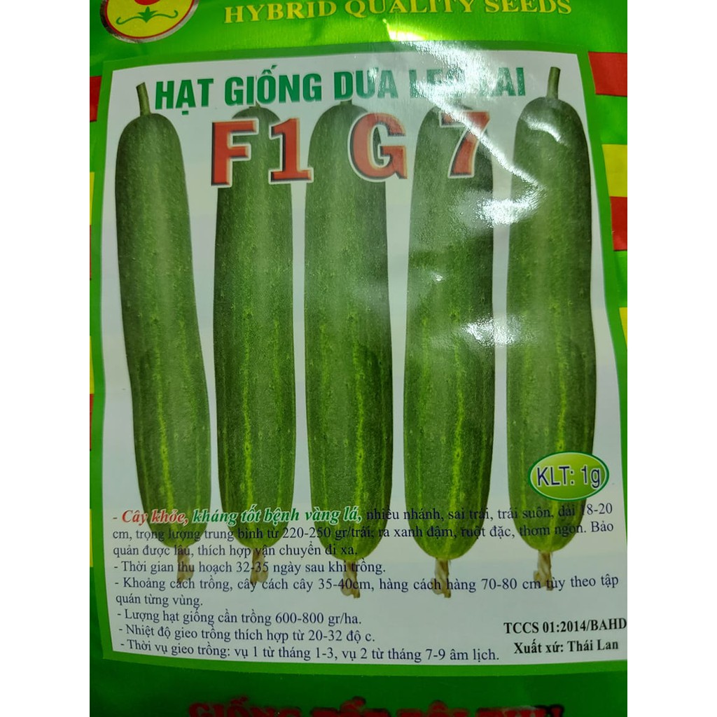 Hạt giống dưa leo lai  F1 G7