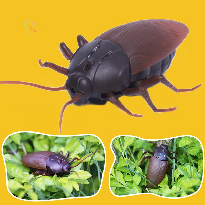 Con gián đồ chơi điều khiển từ xa
14.5x8.2x3.5CM