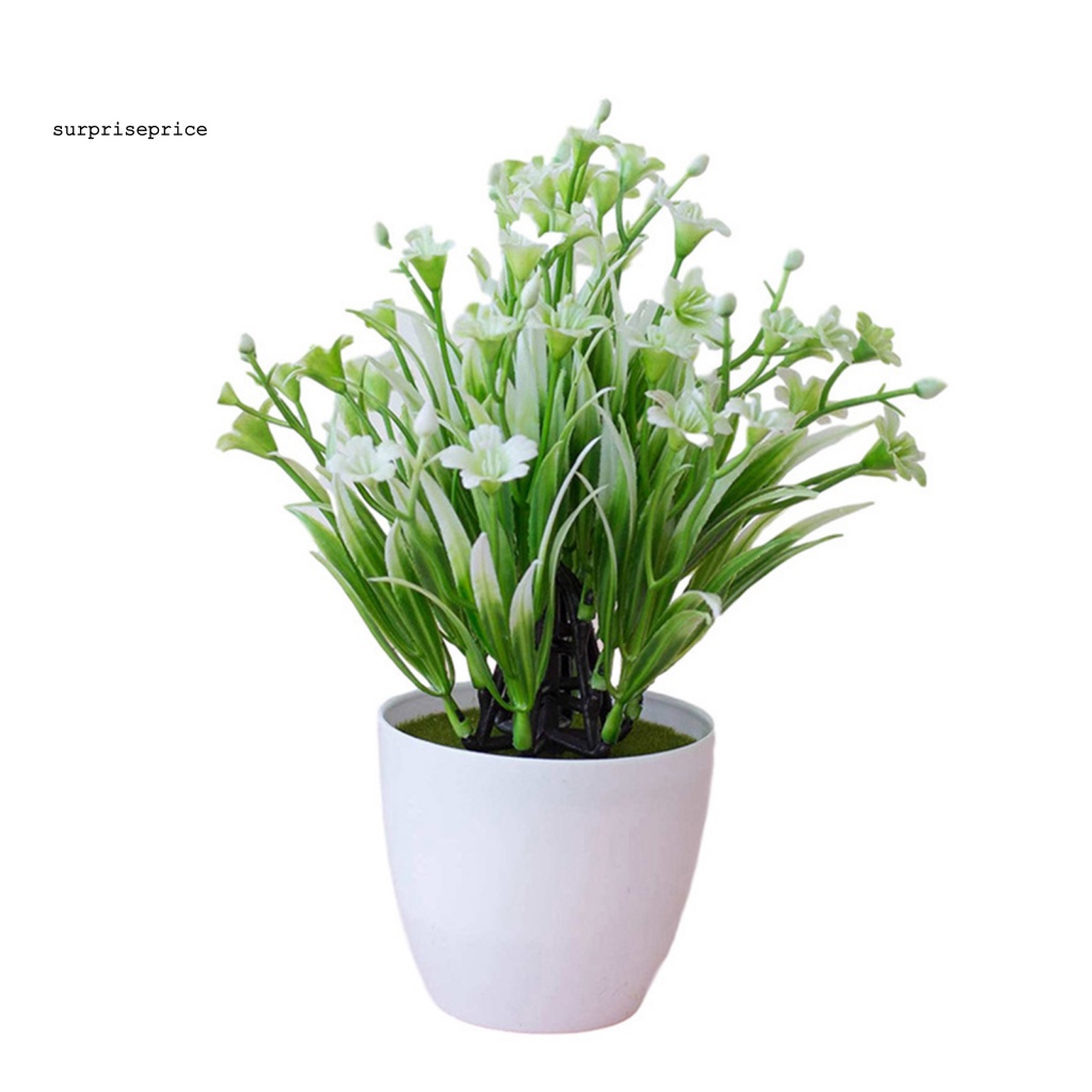 Chậu Cây Nhân Tạo Chống Mòn Dùng Trang Trí Bàn Làm Việc/Khách Sạn