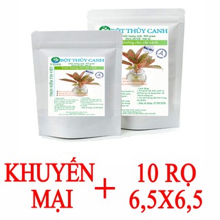 DUNG DỊCH DINH DƯỠNG THỦY CANH CÂY CẢNH PHA 500 LÍT