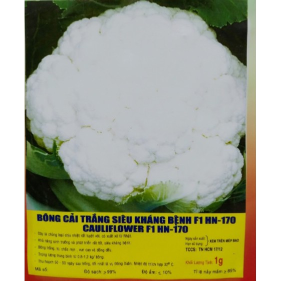 HẠT BÔNG CẢI TRẮNG SÚP LƠ F1 - GÓI 1 GRAM