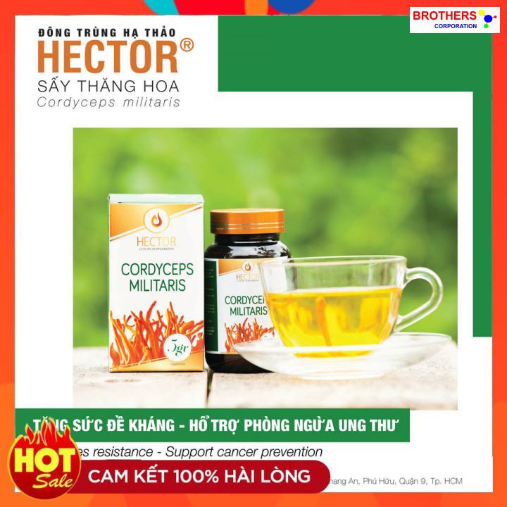 [Chính hãng] Đông trùng hạ thảo Hector sấy thăng hoa (Lọ 5 gram) | BigBuy360 - bigbuy360.vn