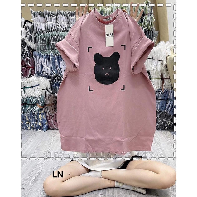 Áo phông mặt gấu mắt vuông DA6