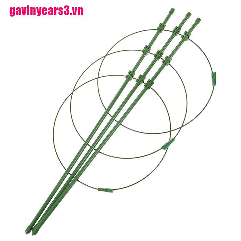 Khung Hỗ Trợ Trồng Cây Dây Leo 45cm Gav3