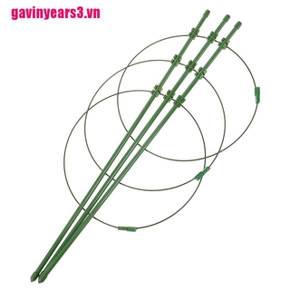 Khung Hỗ Trợ Trồng Cây Dây Leo 45cm