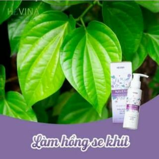Dung dịch vệ sinh thảo dược Navera