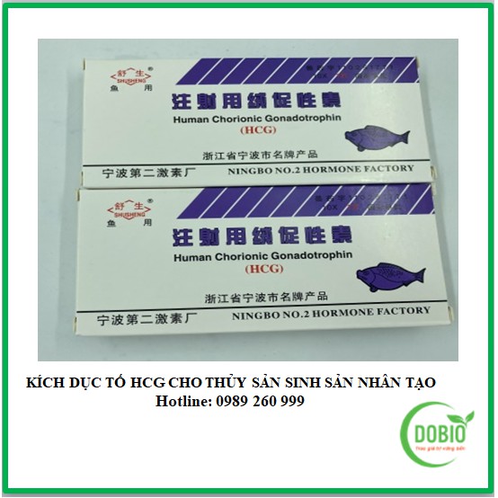 HCG tím DOPA cho cá - Hàng Chính Hãng