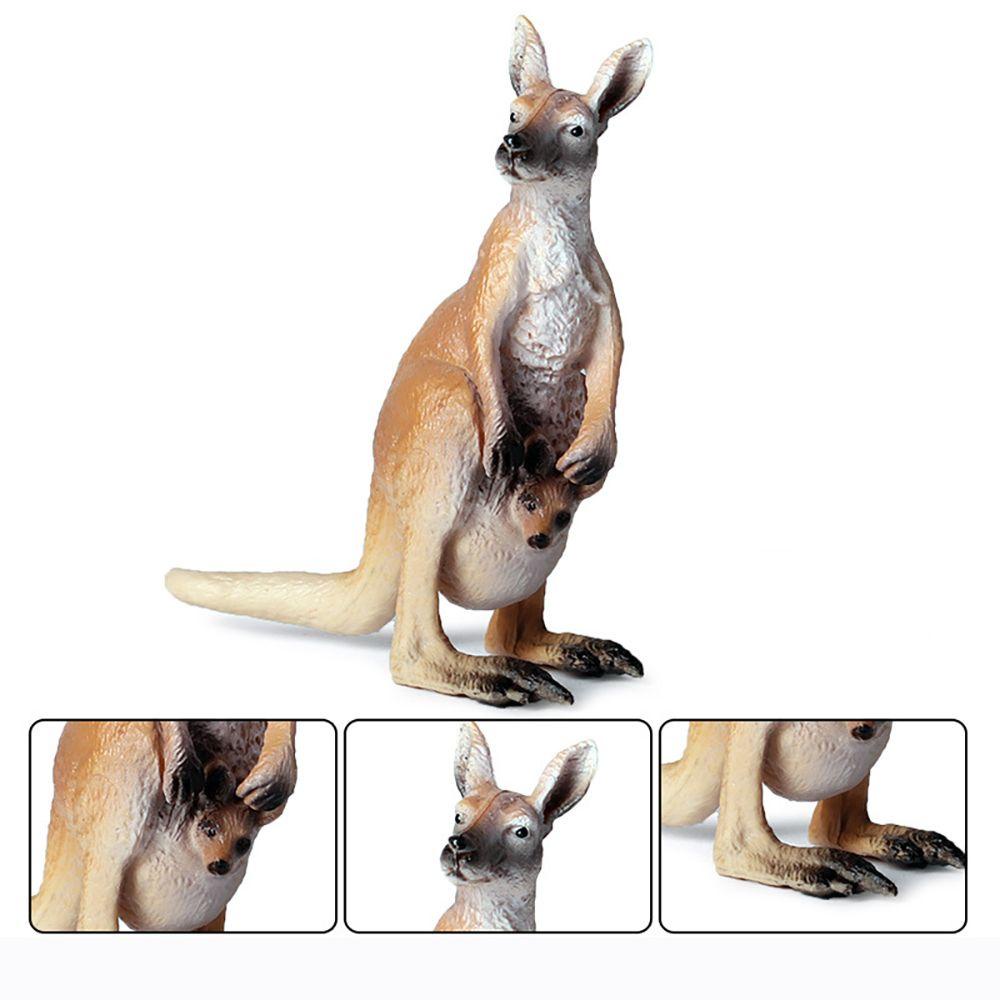 Mô Hình Kangaroo Đồ Chơi Giảng Dạy Khoa Học &amp; Động Vật Hoang Dã LAYOR1